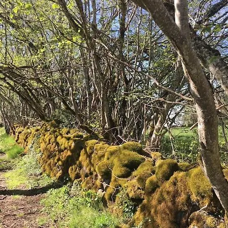 La Grange De L'abille Oda ve Kahvaltı 3*