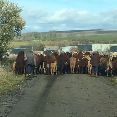 La Grange De L'abille Panzió 3*