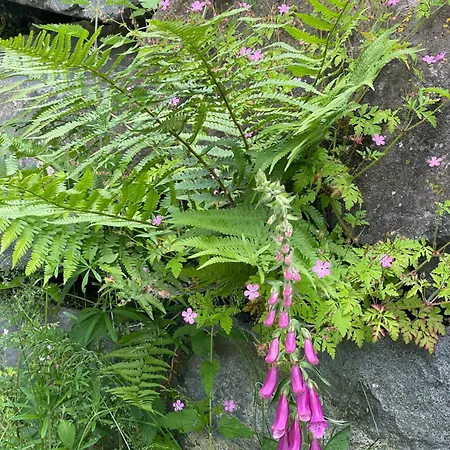 La Grange De L'abille Marchastel (Cantal)