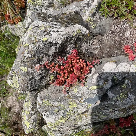 Panzió La Grange De L'abille