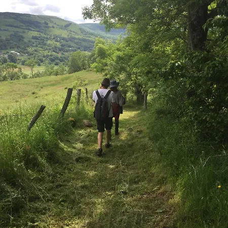 La Grange De L'abille Marchastel (Cantal)