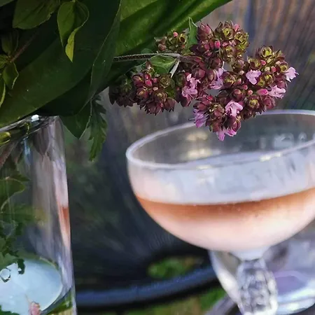 فندق مبيت وإفطار La Grange De L'abille