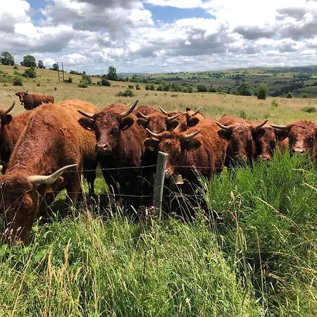 La Grange De L'abille 3* Marchastel (Cantal)