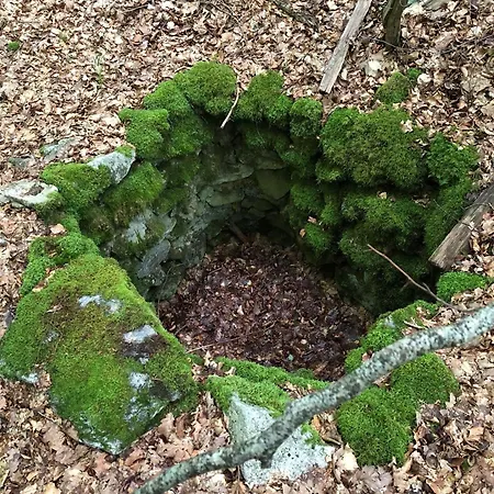 La Grange De L'abille Panzió