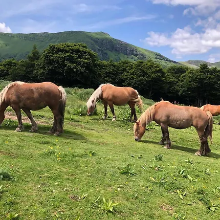 La Grange De L'abille Oda ve Kahvaltı 3*